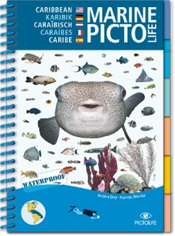 LIVRE PICTOLIFE CARAIBES Immergeable