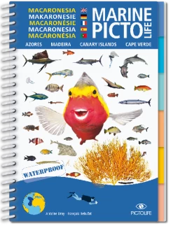 LIVRE PICTOLIFE MACARONESIE Immergeable