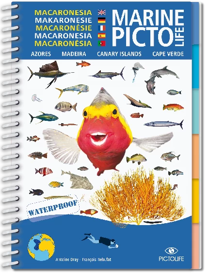 LIVRE PICTOLIFE MACARONESIE Immergeable 3 LIVRE PICTOLIFE MACARONESIE Immergeable