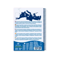 LIVRE PICTOLIFE MEDITERRANEE Immergeable -Plongée Équipement Magasin LIVRE PICTOLIFE MEDITERRANEE immergeable 978 2 9527809 1 2