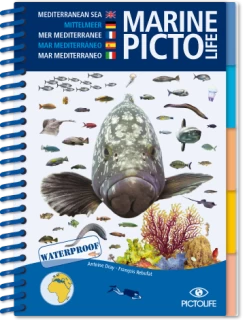 LIVRE PICTOLIFE MEDITERRANEE Immergeable